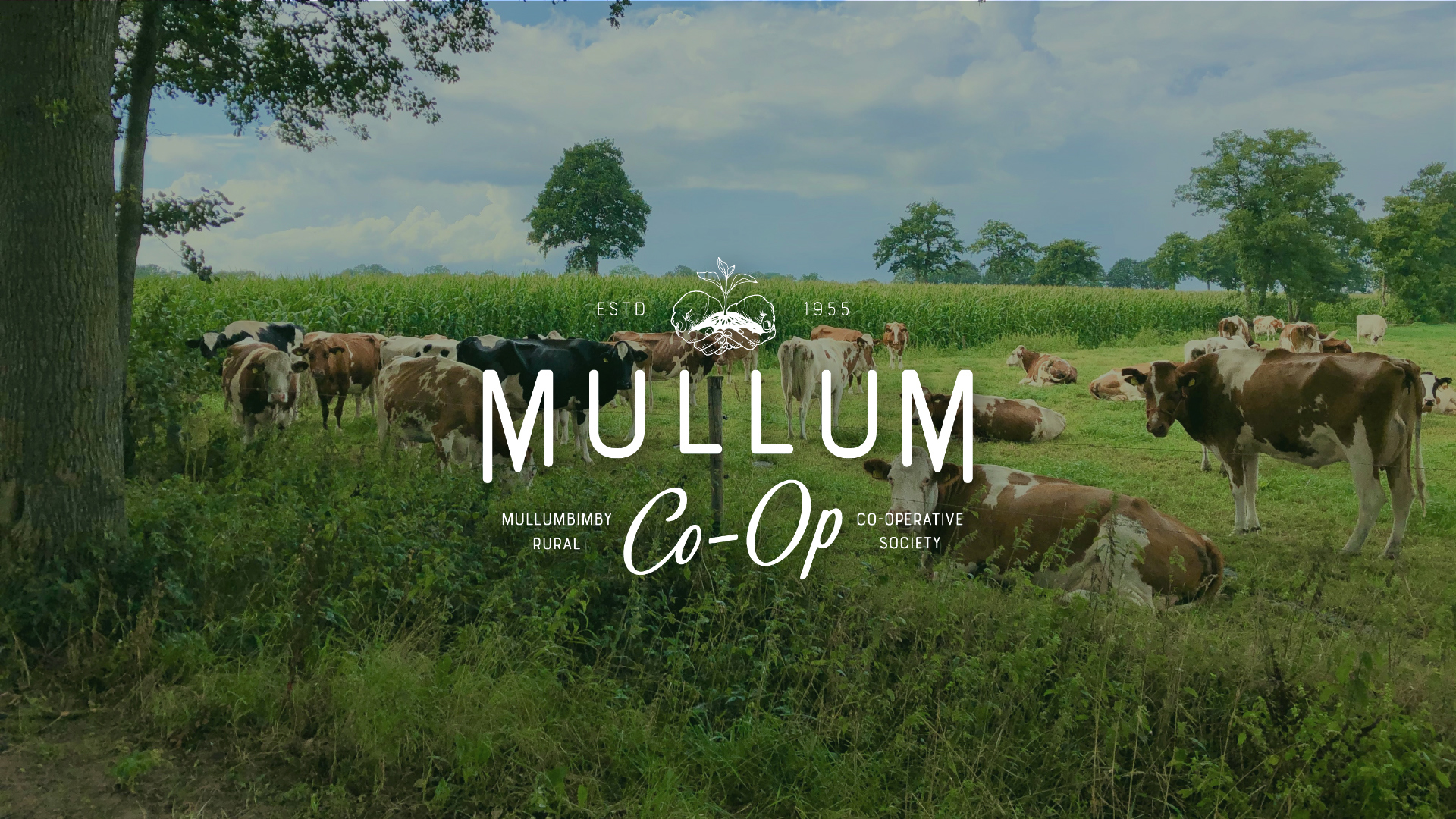Mullum Co Op